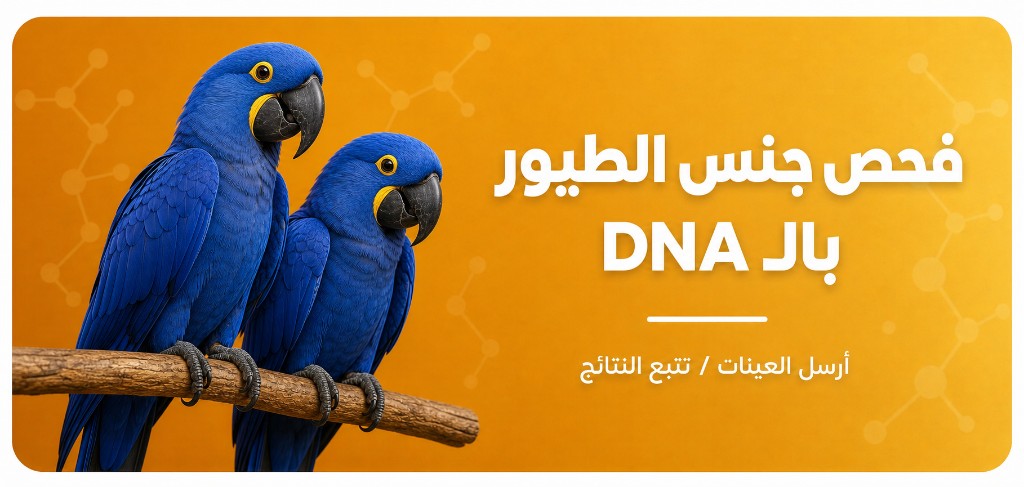 فحص جنس الطيور بالـ DNA