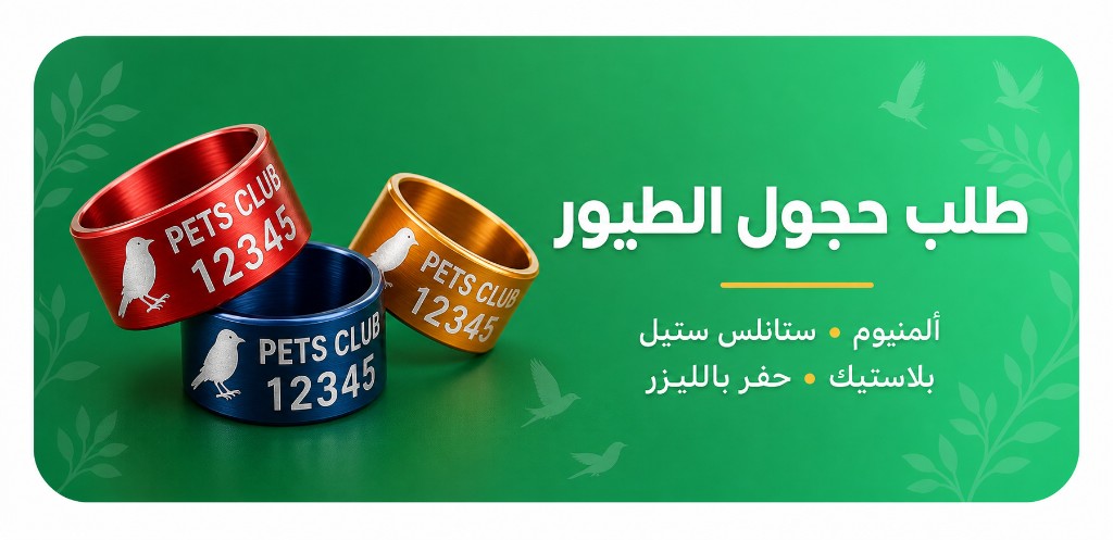 طلب حجول الطيور