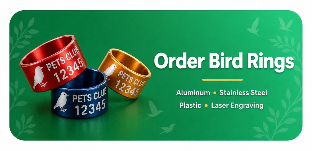 Order Bird Rings